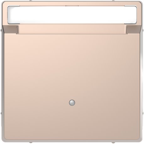 Enjoliveur pour interrupteur à carte porte-étiquette D-Life MTN3854-6051 champagne Enjoliveur pour interrupteur à carte porte-étiquette D-Life MTN3854-6051 champagne