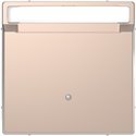 Enjoliveur pour interrupteur à carte porte-étiquette D-Life MTN3854-6051 champagne 