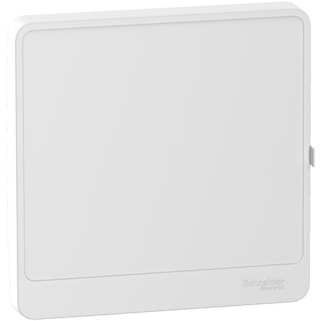 Porte Resi9 R9H13421 pour coffret électrique 1 rangée de 13 modules blanc Porte Resi9 R9H13421 pour coffret électrique 1 rangée de 13 modules blanc