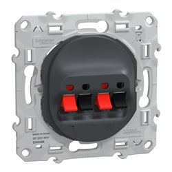 Prise haut parleur 2 sorties Ovalis S340488 Anthracite 2 sorties