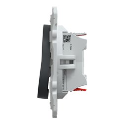 Combiné va et vient + poussoir Ovalis S340285 Anthracite 
