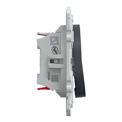 Combiné va et vient + poussoir Ovalis S340285 Anthracite 