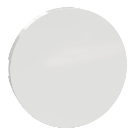 Enjoliveur seul va-et-vient et poussoir Odace S520604 Blanc 