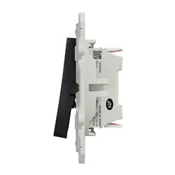 Va-et-vient et bouton poussoir NO/NF Odace S540285 Anthracite 