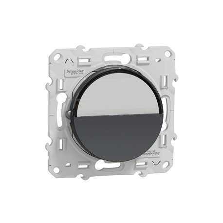 Bouton-poussoir Odace S540266 Anthracite avec porte-étiquette Bouton-poussoir Odace S540266 Anthracite avec porte-étiquette