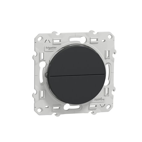 Double poussoir pour volets-roulants Odace S540207 Anthracite Double poussoir pour volets-roulants Odace S540207 Anthracite
