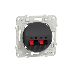 Prise haut-parleurs Odace S540488 Anthracite 2 sorties