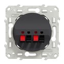 Prise haut-parleurs Odace S540488 Anthracite 2 sorties