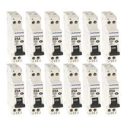 Lot de 12 Disjoncteurs Courbe D 1 module 25A