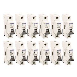 Lot de 12 Disjoncteurs Unipolaire 1 module 25A