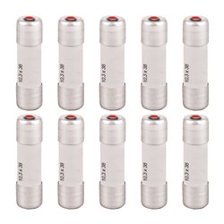 Lot de 10 Fusibles industriels Type gG 10,3x38 mm avec voyant 25A