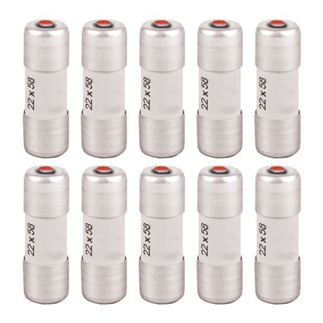 Lot de 10 Fusibles industriels Type gG 22x58 mm avec voyant 100A