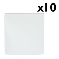 Lot de 10 sorties de câbles IP21 16/20A Vis non apparentes