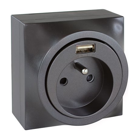 Prise Courant fort combinée 2P+T + USB 2 type A Vulcain