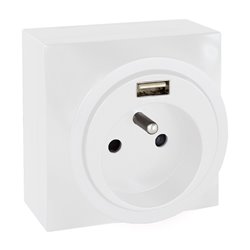 Prise Courant fort combinée 2P+T + USB 2 type A Blanc