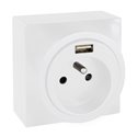Prise Courant fort combinée 2P+T + USB 2 type A Blanc