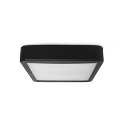 Collerette fixe, noire QUADRA