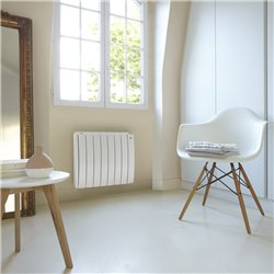 Radiateur fluide caloporteur Taïga Premium TAKD, 1000 Watts