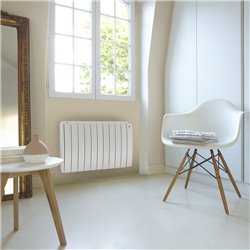 Radiateur fluide caloporteur Taïga Premium TAKD, 1500 Watts