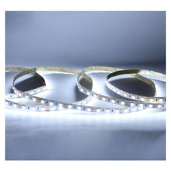 Ruban LED de 5 m 9W/m 960 Lm/m Blanc jour