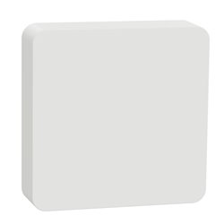 Détecteur de température et d'humidité CCT593012 Wiser