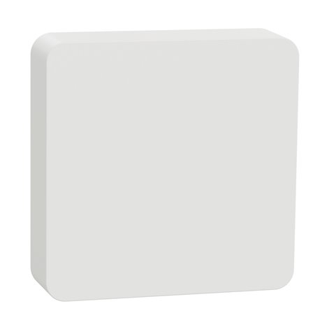 Détecteur de température et d'humidité CCT593012 Wiser