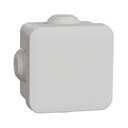 Boîte de dérivation Mureva Box IMT05022 65x65x45 mm à embouts blanc