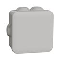 Boîte de dérivation Mureva Box IMT05024 80x80x45 mm à embouts blanc