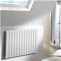 Radiateur fluide caloporteur Fassane Premium THXD-F 750 Watts Hauteur 500 mm