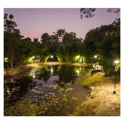 Tête de lampadaire, 20W 2005 Lm Blanc chaud SUNNY SMART