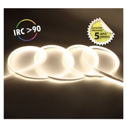 Ruban LED de 5 m 9W/m 880 Lm/m Blanc jour