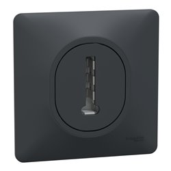 Prise téléphone en T avec plaque Ovalis S340496 8 contacts anthracite