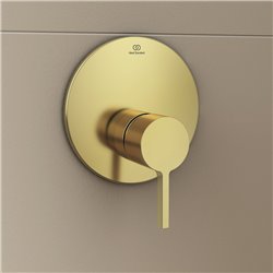 Mitigeur douche à encastrer Joy Or brossé