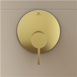 Mitigeur douche à encastrer Joy Or brossé