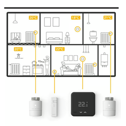 Pack thermostat filaire Black Edition avec tête Basic Duo Pack STKit-B-SRT2