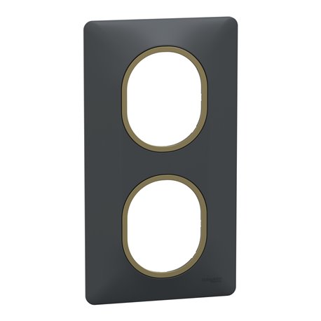 Plaque de finition Ovalis entraxe 71 mm S340724E anthracite bague laiton 2 postes vertical Plaque de finition Ovalis entraxe 71 mm S340724E anthracite bague laiton 2 postes vertical