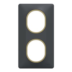 Plaque de finition Ovalis entraxe 71 mm S340724E anthracite bague laiton 2 postes vertical