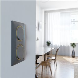 Plaque de finition Ovalis entraxe 71 mm S340724E anthracite bague laiton 2 postes vertical