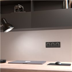 Plaque de finition Ovalis entraxe 71 mm S340706G anthracite bague argent chromé 3 postes horizontal