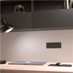 Plaque de finition Ovalis entraxe 71 mm S340706E anthracite bague laiton 3 postes horizontal