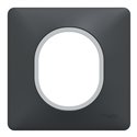 Plaque de finition Ovalis S340702G anthracite bague argent chromé 1 poste