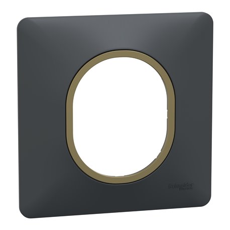 Plaque de finition Ovalis S340702E anthracite bague laiton 1 poste Plaque de finition Ovalis S340702E anthracite bague laiton 1 poste