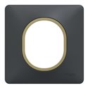 Plaque de finition Ovalis S340702E anthracite bague laiton 1 poste