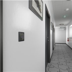Plaque de finition Ovalis S340702E anthracite bague laiton 1 poste