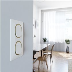 Plaque de finition Ovalis entraxe 71 mm S320724D blanc bague laiton 2 postes vertical