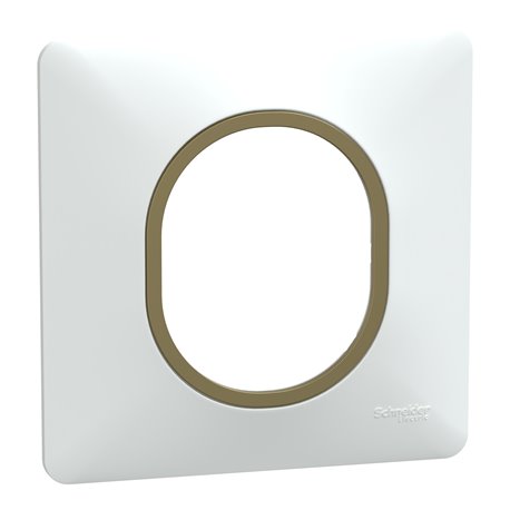 Plaque de finition Ovalis S320702D blanc bague laiton 1 poste Plaque de finition Ovalis S320702D blanc bague laiton 1 poste