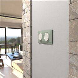Plaque de finition Ovalis entraxe 71 mm S320704A sauge 2 postes horizontal