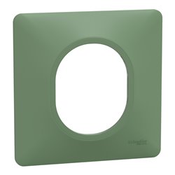 Plaque de finition Ovalis S320702B vert forêt 1 poste