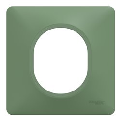 Plaque de finition Ovalis S320702B vert forêt 1 poste