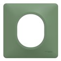 Plaque de finition Ovalis S320702B vert forêt 1 poste